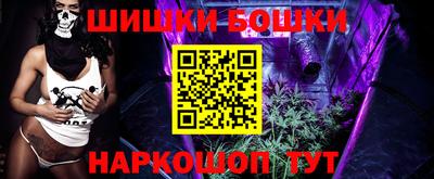 индика Заволжье