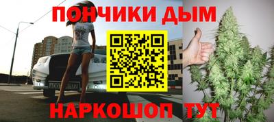индика Заводоуковск