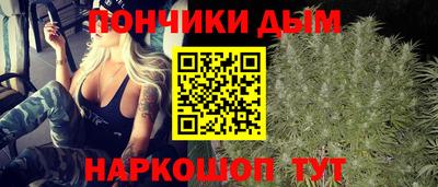 индика Заволжье
