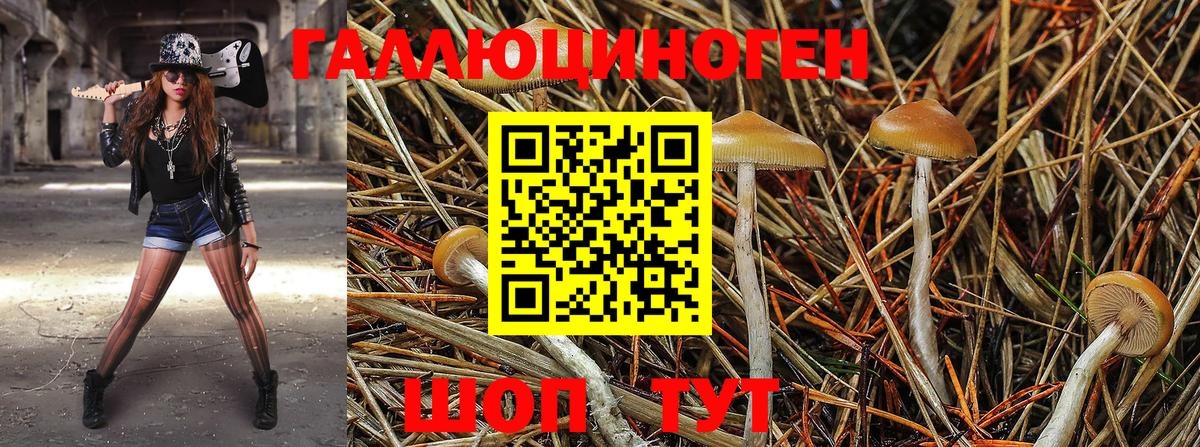 Галлюциногенные грибы GOLDEN TEACHER  Вход с VPN  Лабинск  Галлюциногенные грибы Psilocybe 